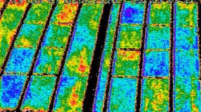 Carte de vigueur NDVI de rangs de vigne