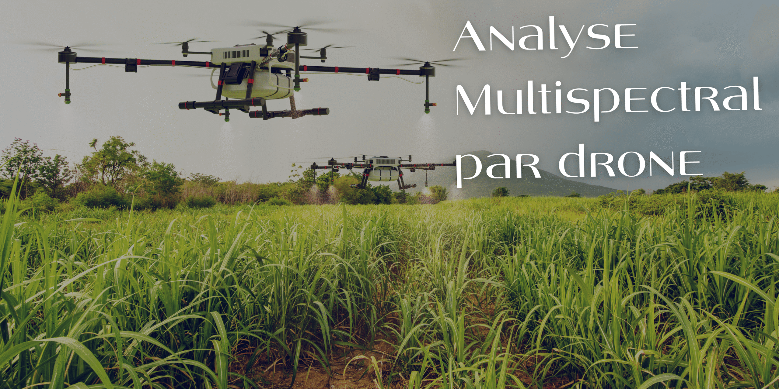 Analyse multispectrale