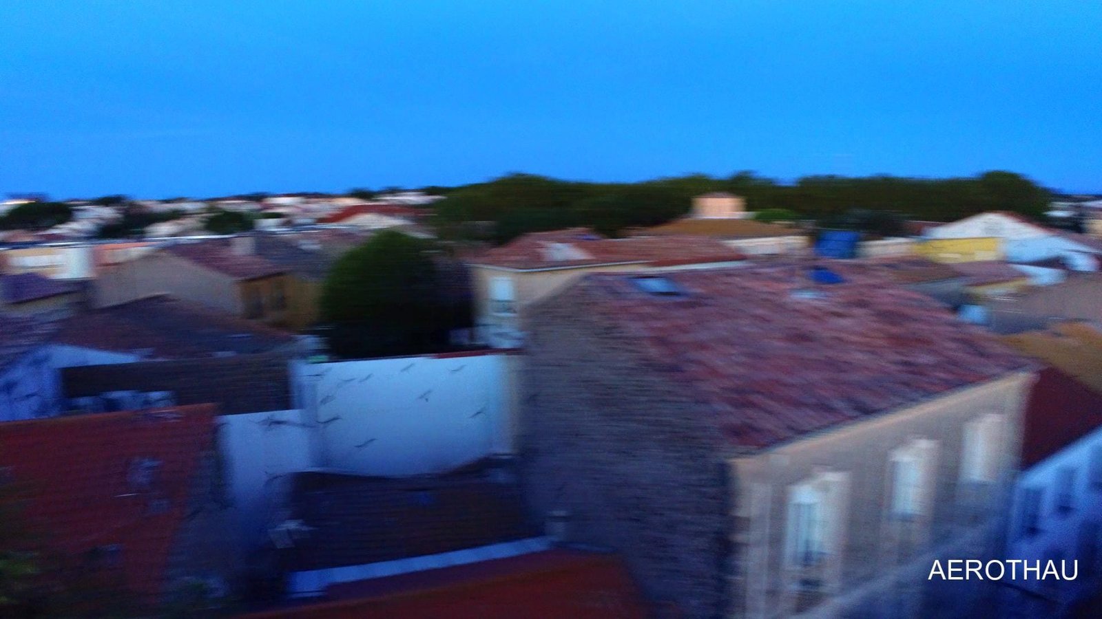 Effarouchement des oiseaux par drone