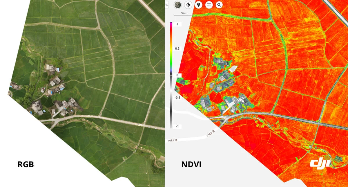 Carte NDVI agriculture précision vigne drone occitanie