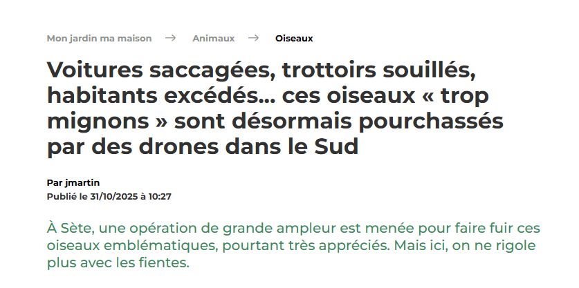 Article Mon Jardin Ma Maison drone