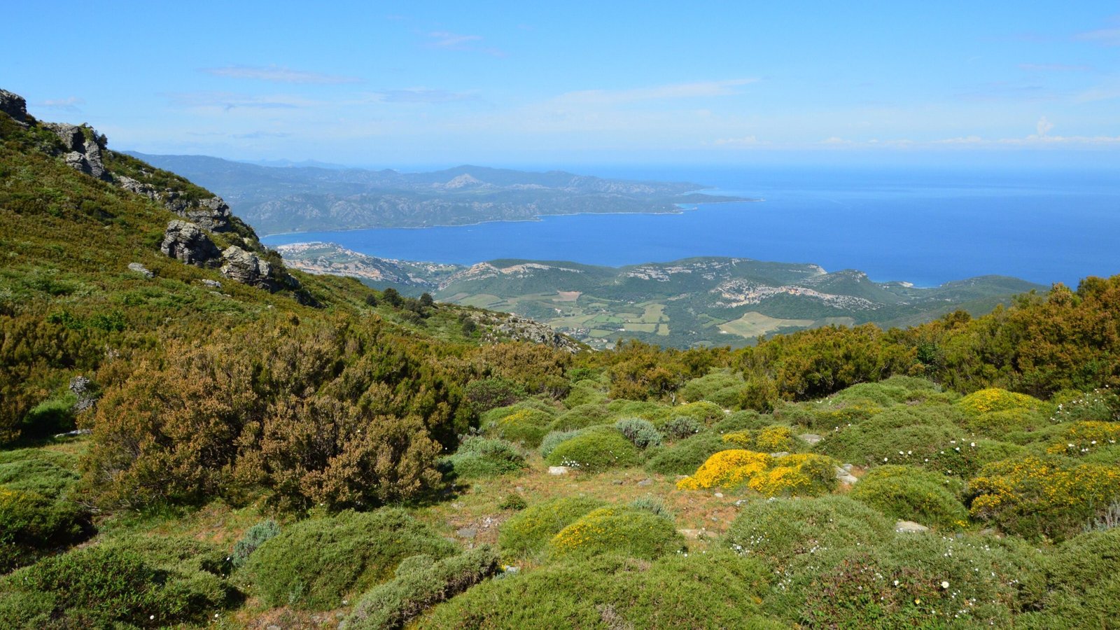 Intervention drone professionnel en Haute-Corse